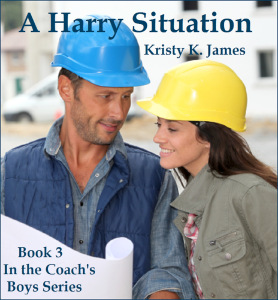 a-harry-situation-cover-1