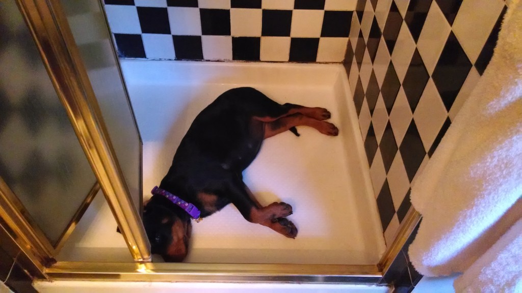 Napping in shower