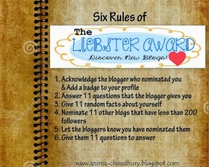 Rules-for-Liebster-Award-300x240